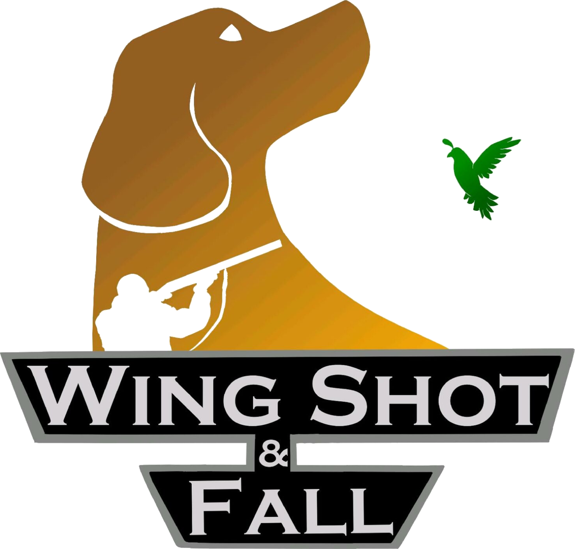 Wing Shot and Fall